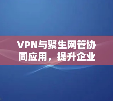 VPN与聚生网管协同应用,提升企业网络安全与性能