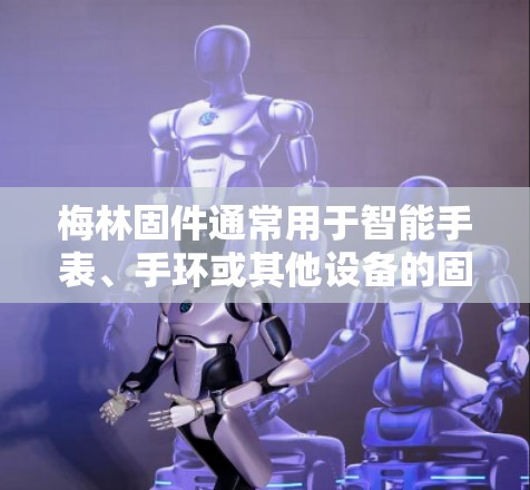 梅林固件通常用于智能手表、手环或其他设备的固件更新和管理。如果你想在使用梅林固件的设备上配置VPN,可以按照以下步骤操作
