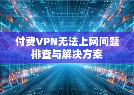 付费VPN无法上网问题排查与解决方案 付费VPN无法上网问题排查与解决方案