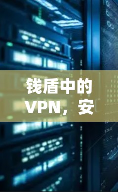 钱盾中的VPN,安全通信的双重保障 钱盾中的VPN,安全通信的双重保障
