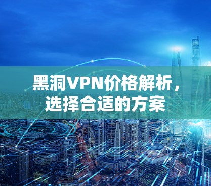 黑洞VPN价格解析,选择合适的方案