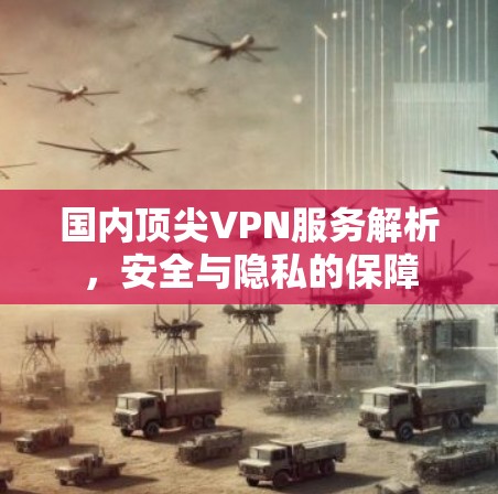 国内顶尖VPN服务解析,安全与隐私的保障 国内顶尖VPN服务解析,安全与隐私的保障