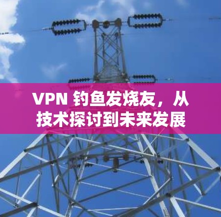 VPN 钓鱼发烧友,从技术探讨到未来发展 VPN 钓鱼发烧友,从技术探讨到未来发展