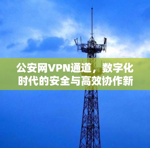 公安网VPN通道,数字化时代的安全与高效协作新解决方案 公安网VPN通道,数字化时代的安全与高效协作新解决方案