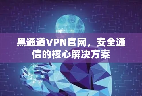 黑通道VPN官网，安全通信的核心解决方案