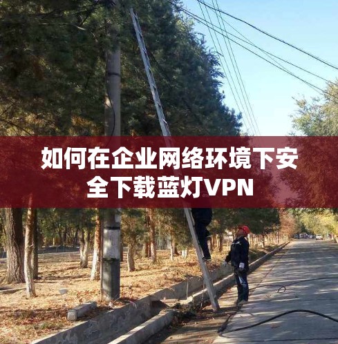如何在企业网络环境下安全下载蓝灯VPN