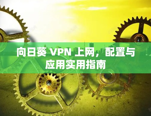 向日葵 VPN 上网,配置与应用实用指南 向日葵 VPN 上网,配置与应用实用指南