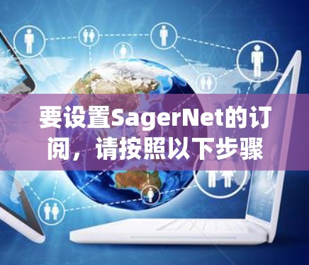 要设置SagerNet的订阅，请按照以下步骤操作