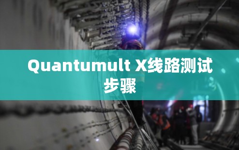 Quantumult X线路测试步骤