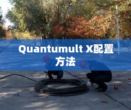 Quantumult X配置方法