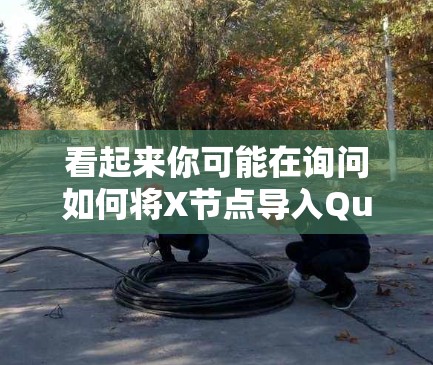 看起来你可能在询问如何将X节点导入Quantumult中。如果Quantumult是一个网络工具或软件，而X节点可能是一个特定的功能模块或配置，以下是一些可能的步骤和建议