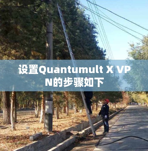 设置Quantumult X VPN的步骤如下 设置Quantumult X VPN的步骤如下