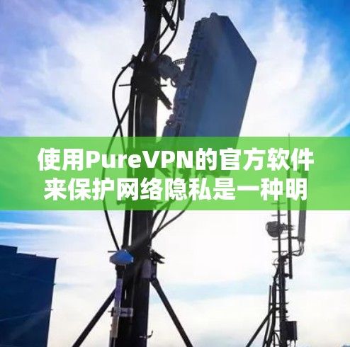 使用PureVPN的官方软件来保护网络隐私是一种明智的选择。以下是对PureVPN官方软件的详细分析和建议