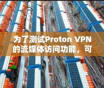 为了测试Proton VPN的流媒体访问功能，可以按照以下步骤进行