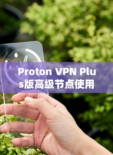 Proton VPN Plus版高级节点使用教程 Proton VPN Plus版高级节点使用教程
