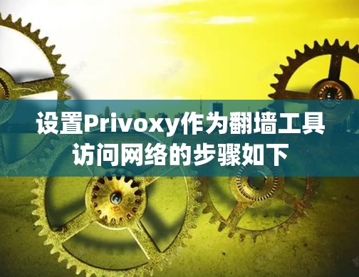 设置Privoxy作为翻墙工具访问网络的步骤如下