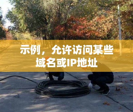 示例，允许访问某些域名或IP地址