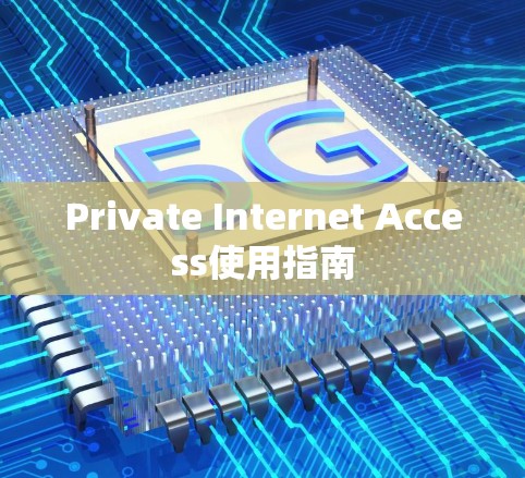 Private Internet Access使用指南