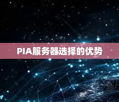 PIA服务器选择的优势 PIA服务器选择的优势
