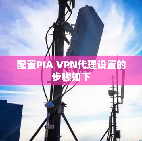 配置PIA VPN代理设置的步骤如下
