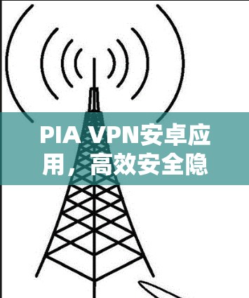 PIA VPN安卓应用,高效安全隐私保护方案 PIA VPN安卓应用,高效安全隐私保护方案