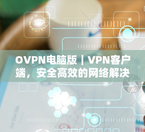 OVPN电脑版｜VPN客户端，安全高效的网络解决方案