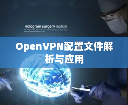 OpenVPN配置文件解析与应用