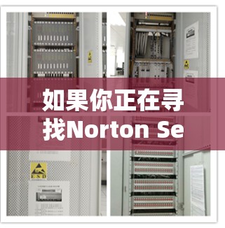 如果你正在寻找Norton Secure VPN的替代软件,以下是一些推荐的VPN工具,它们在安全性、速度和隐私保护方面都有较高的表现 如果你正在寻找Norton Secure VPN的替代软件,以下是一些推荐的VPN工具,它们在安全性、速度和隐私保护方面都有较高的表现