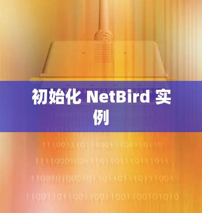 初始化 NetBird 实例 初始化 NetBird 实例