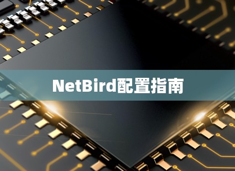 NetBird配置指南