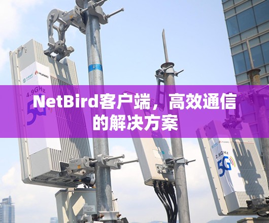 NetBird客户端,高效通信的解决方案 NetBird客户端,高效通信的解决方案