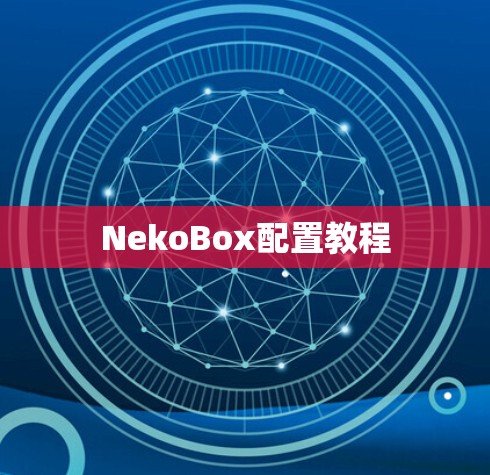 NekoBox配置教程 NekoBox配置教程