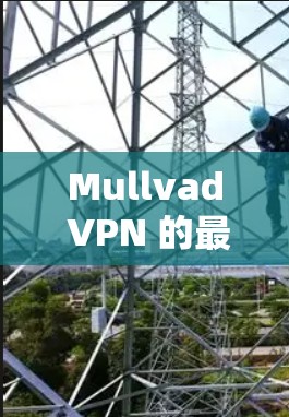 Mullvad VPN 的最新版本可以通过以下步骤下载和安装