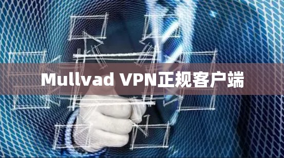 Mullvad VPN正规客户端 Mullvad VPN正规客户端
