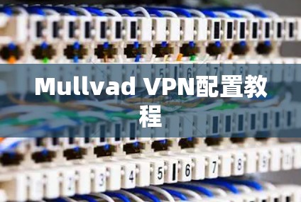 Mullvad VPN配置教程