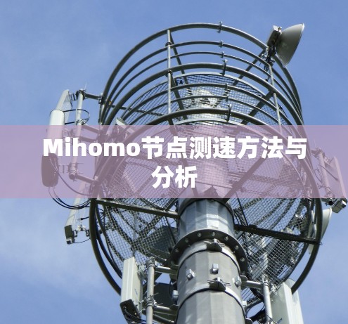 Mihomo节点测速方法与分析