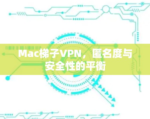 Mac梯子VPN，匿名度与安全性的平衡