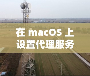 在 macOS 上设置代理服务器可以通过以下几种方法实现。代理服务器可以帮助其他设备（如 Windows 电脑、手机等）通过你的 Mac 访问互联网或内部资源