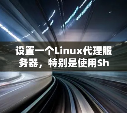 设置一个Linux代理服务器,特别是使用Shadowsocks或ShadowsocksR来加密流量,可以按照以下步骤进行 设置一个Linux代理服务器,特别是使用Shadowsocks或ShadowsocksR来加密流量,可以按照以下步骤进行