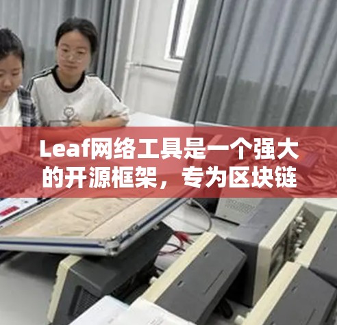 Leaf网络工具是一个强大的开源框架,专为区块链开发者设计,提供全面的功能来构建和管理区块链网络应用。以下是对Leaf网络工具的详细总结,帮助您快速理解其功能和应用场景 Leaf网络工具是一个强大的开源框架,专为区块链开发者设计,提供全面的功能来构建和管理区块链网络应用。以下是对Leaf网络工具的详细总结,帮助您快速理解其功能和应用场景