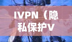 IVPN(隐私保护VPN)是一种结合隐私保护功能的VPN服务,旨在通过技术手段保护用户的网络隐私、数据安全和网络匿名性。以下是IVPN的主要隐私功能分析 IVPN(隐私保护VPN)是一种结合隐私保护功能的VPN服务,旨在通过技术手段保护用户的网络隐私、数据安全和网络匿名性。以下是IVPN的主要隐私功能分析