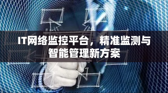 IT网络监控平台,精准监测与智能管理新方案 IT网络监控平台,精准监测与智能管理新方案