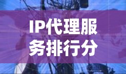 IP代理服务排行分析