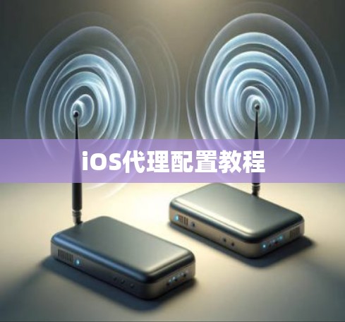 iOS代理配置教程