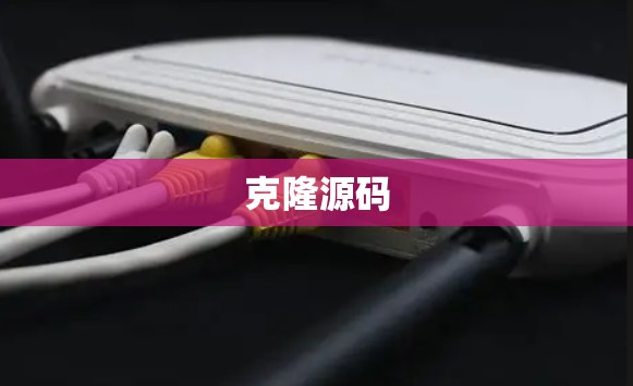 克隆源码 克隆源码