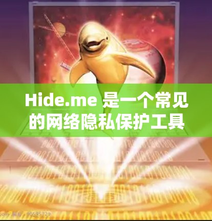 Hide.me 是一个常见的网络隐私保护工具，可以帮助用户隐藏 IP 地址、匿名上网等。以下是Hide.me 的安装教程