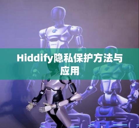 Hiddify隐私保护方法与应用 Hiddify隐私保护方法与应用