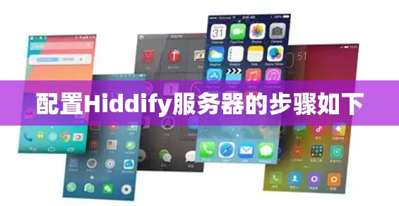 配置Hiddify服务器的步骤如下 配置Hiddify服务器的步骤如下