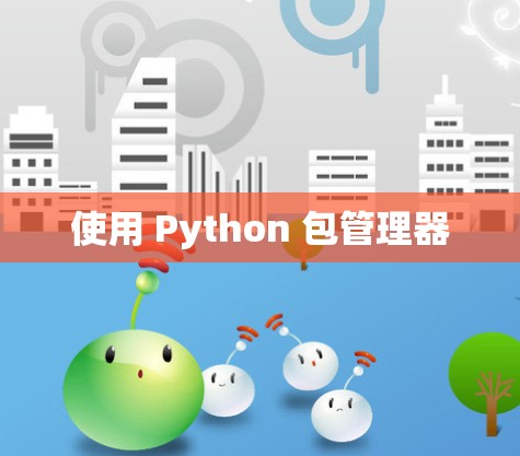 使用 Python 包管理器 使用 Python 包管理器