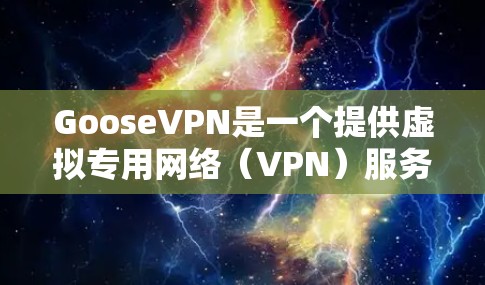 GooseVPN是一个提供虚拟专用网络（VPN）服务的平台，旨在帮助用户保护隐私、加密数据传输，并提供安全的网络连接。以下是GooseVPN的主要功能介绍